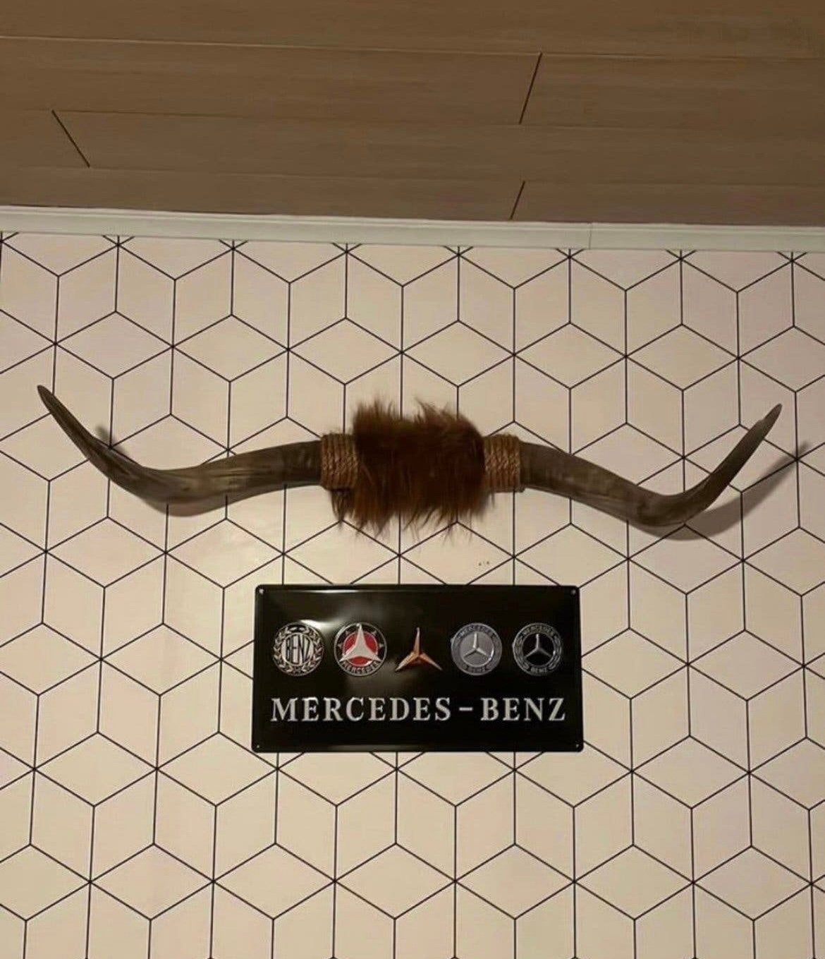 Bullbar Schotse Hooglander