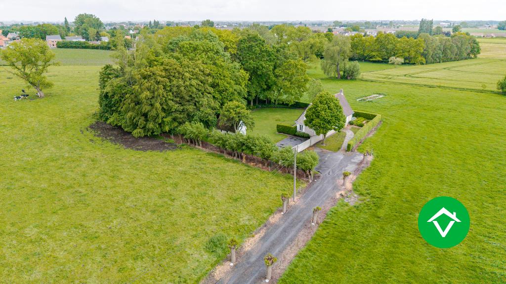 Alleenstaande topper, 3 slpk nabij Arboretum van Koekelare, Vrijstaande woning, 3 kamers, Provincie West-Vlaanderen, 1500 m² of meer