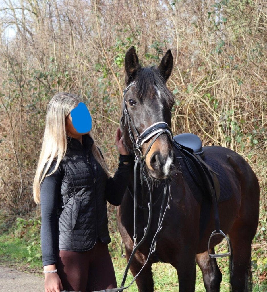 Mooie merrie TE KOOP, Avec puce électronique, 11 ans ou plus, M, Moins de 160 cm