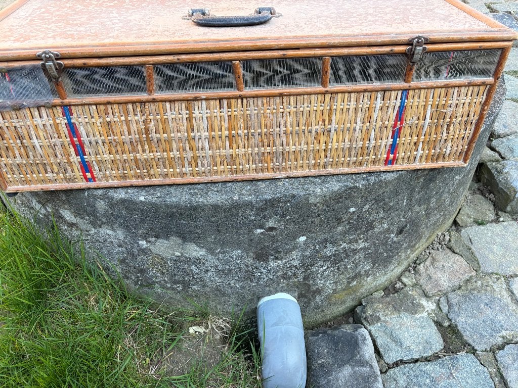 Duivenkorf