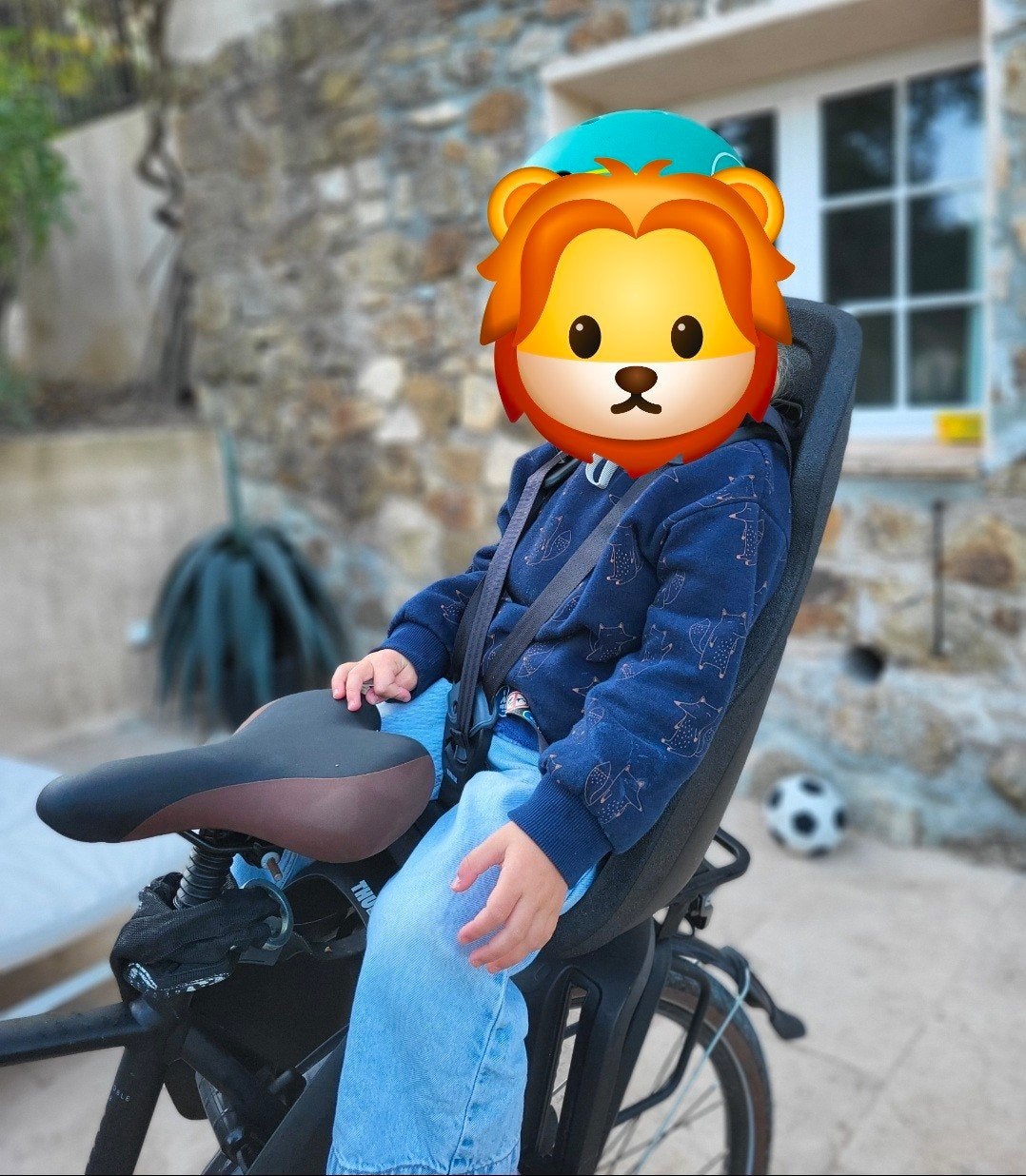 Fietsstoeltje Thule Yepp, Fietsen en Brommers, Fietsaccessoires | Fietsstoeltjes, Ophalen