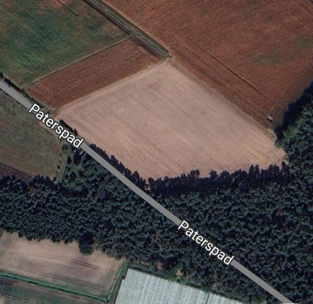 Landbouwgrond te (Hoogstraten) Meer. 18.774 m², Immo