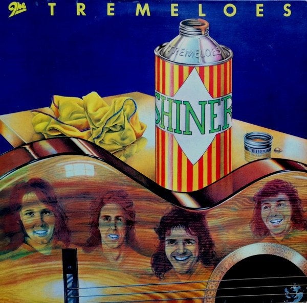 TREMELOES SHINER, LP, Ophalen of Verzenden, Zo goed als nieuw, Fotohoes