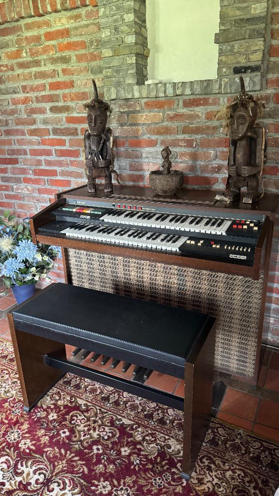 Vintage Solina elektronisch orgel – jaren 70, Muziek en Instrumenten, Orgels, Ophalen, Gebruikt, 2 klavieren, Orgel