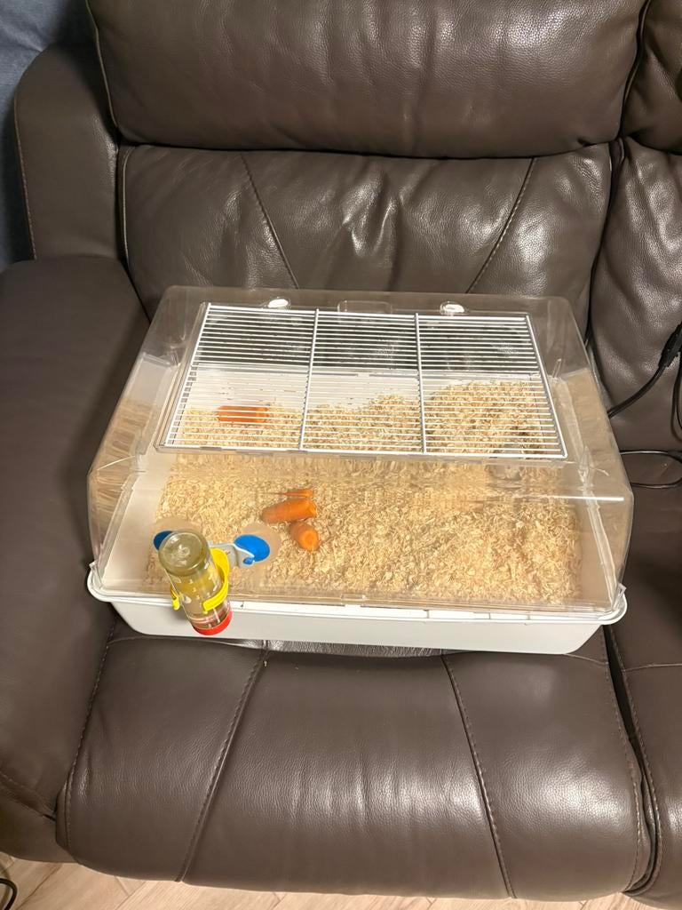 Gerbil+kooi tekoop, Dieren en Toebehoren, Ophalen, Zo goed als nieuw, Kooi