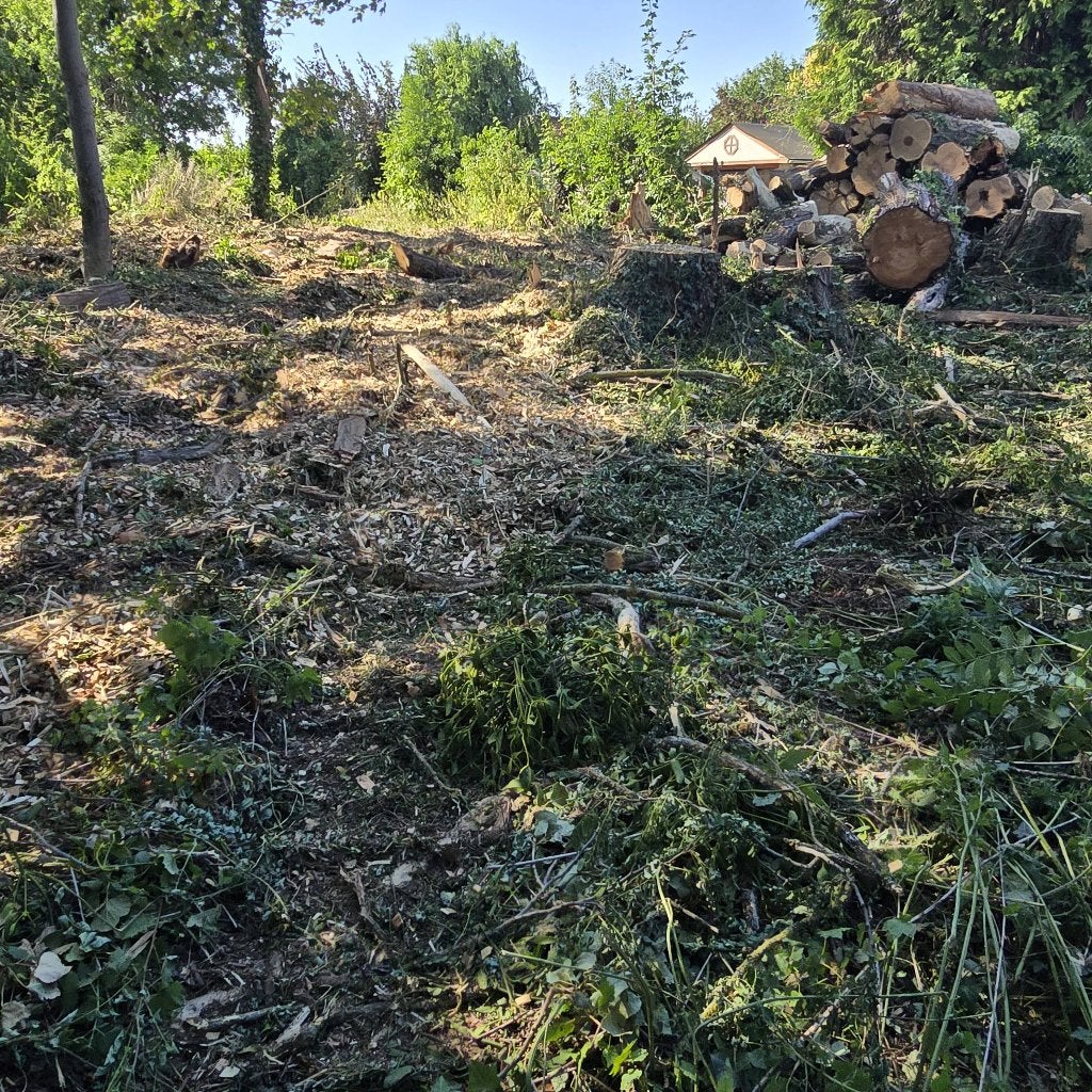 Mise à disposition gratuite d'un terrain 250 m2 pour potager, Jardin & Terrasse, Enlèvement ou Envoi