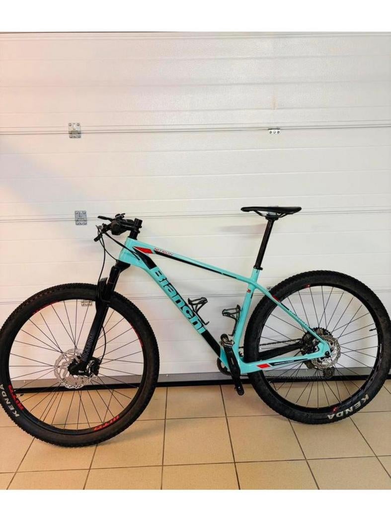 Bianchi Nitron 9.2 Full Carbon 29" in perfecte staat,maat L, Fietsen en Brommers, Fietsen | Mountainbikes en ATB, Ophalen
