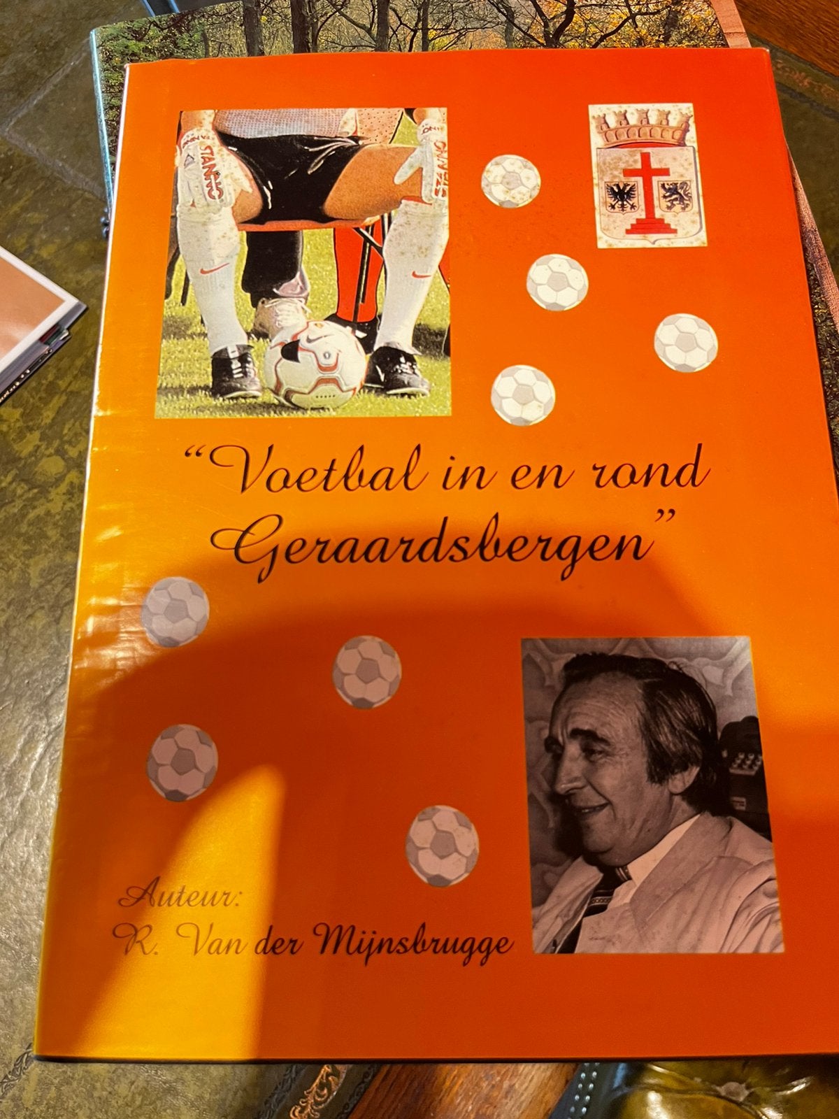 Voetbal in en rond Geraardsbergen, Boeken, Geschiedenis | Stad en Regio, Ophalen of Verzenden, Zo goed als nieuw