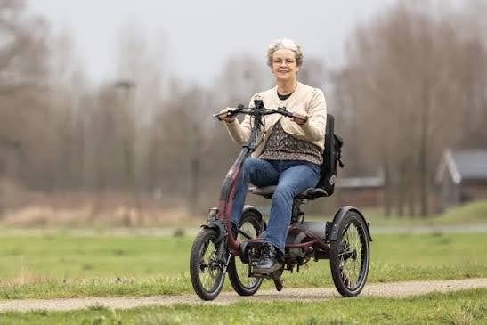 Gezocht Driewielfiets: Bijvoorbeeld Van raam easy rider, Fietsen en Brommers, Ophalen, Gebruikt