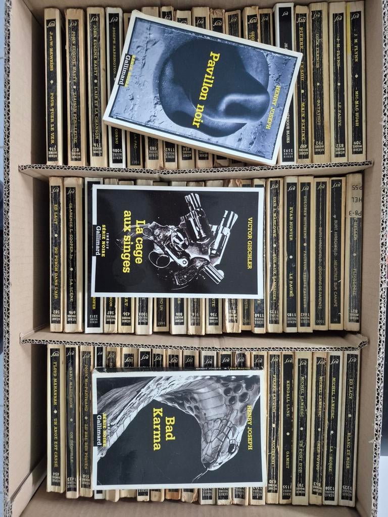 116 polars "Série noire", Livres, Enlèvement