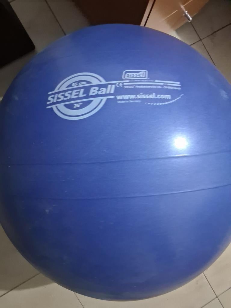 Sissel bal, Sport en Fitness, Ophalen