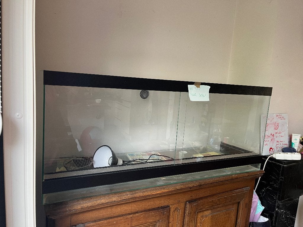 Terrarium, Dieren en Toebehoren, Ophalen, Zo goed als nieuw, Terrarium of Paludarium