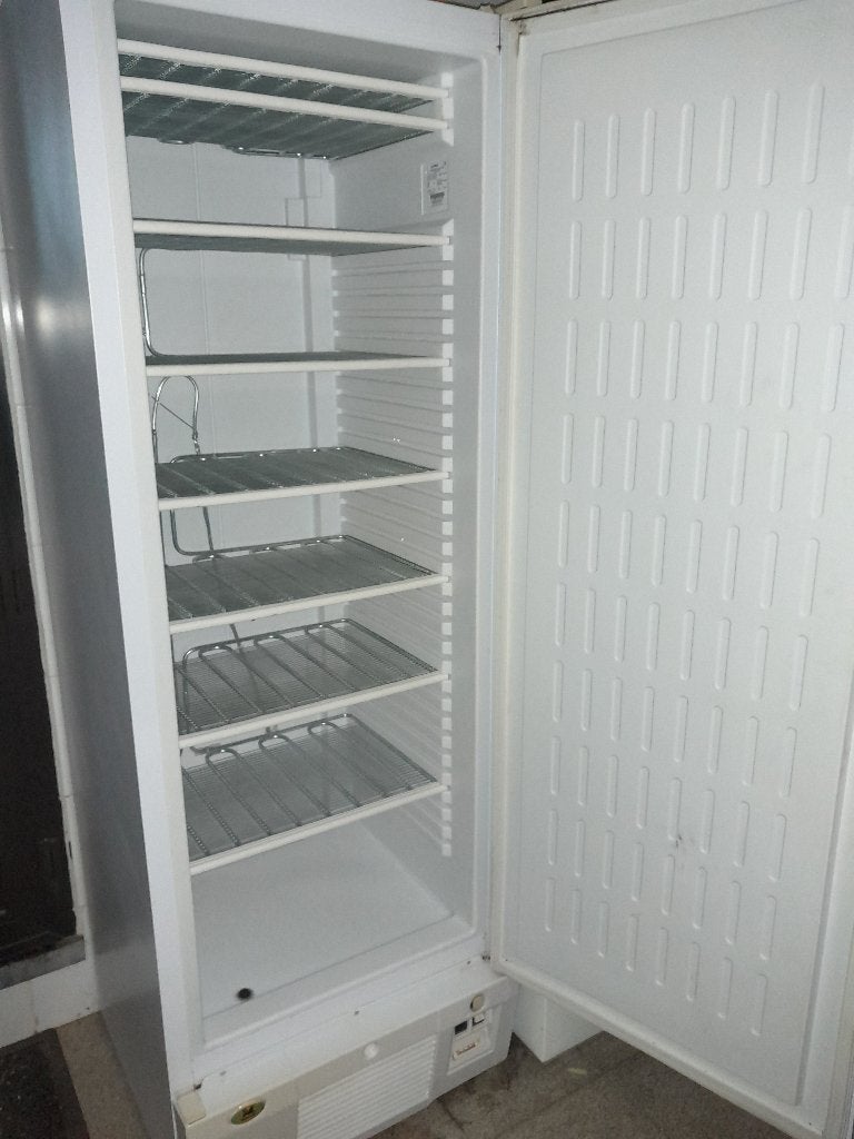 diepvrieskast, Huis en Inrichting, Ophalen, Gebruikt, 150 tot 200 cm