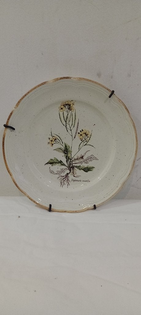 Primula Italiaans keramisch wandbord, handbeschilderd, Ophalen of Verzenden