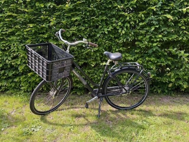 Giant Triple X damesfiets, Ophalen, Gebruikt, Versnellingen, Giant