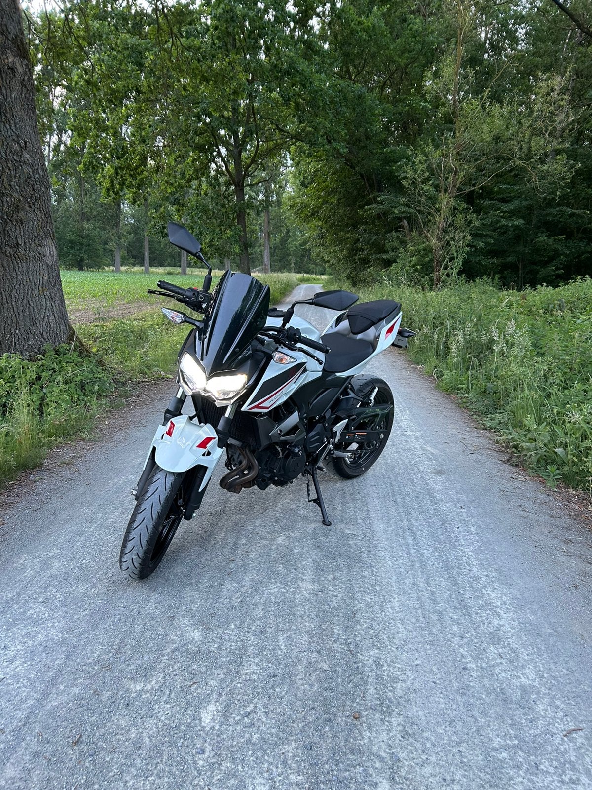 Kawasaki Z400 2023 8400 km, Motos, Motos | Kawasaki, Occasion, 2 cylindres, 12 à 35 kW, Manuelle