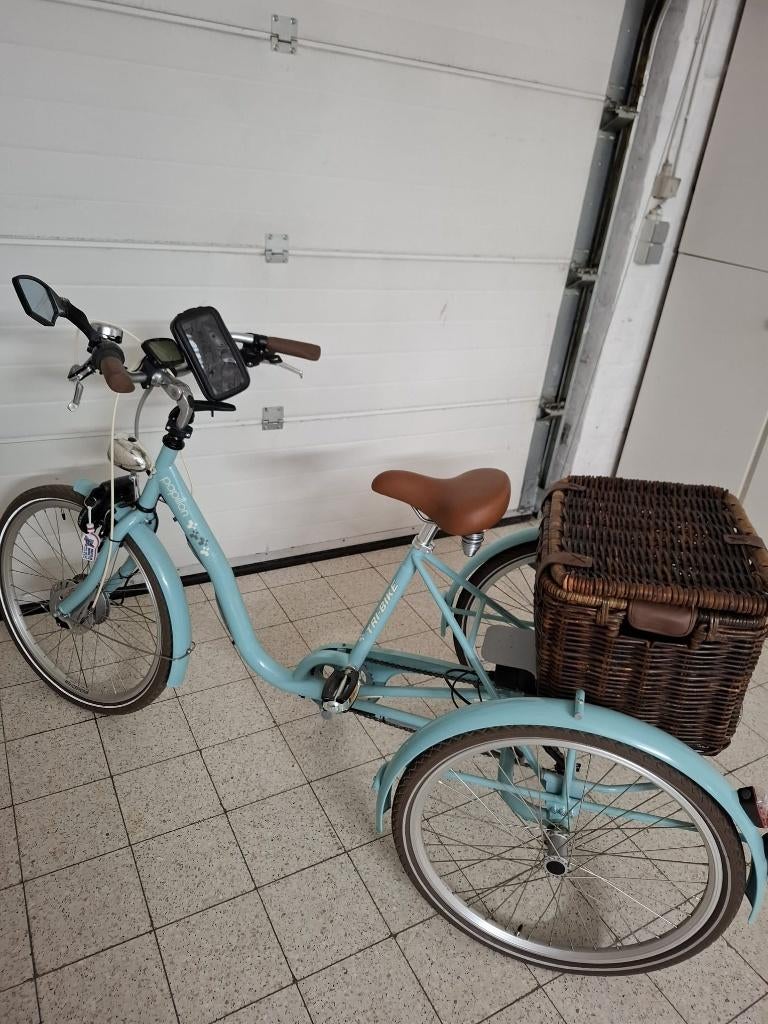 Tri-bike Papillon Classic S24 (elektrisch), Ophalen, Zo goed als nieuw, Tri-bike