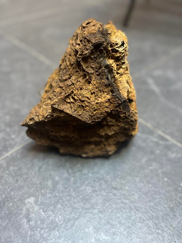 Groot stuk dragon stone, Enlèvement, Utilisé, Plante(s), Pierre ou Bois