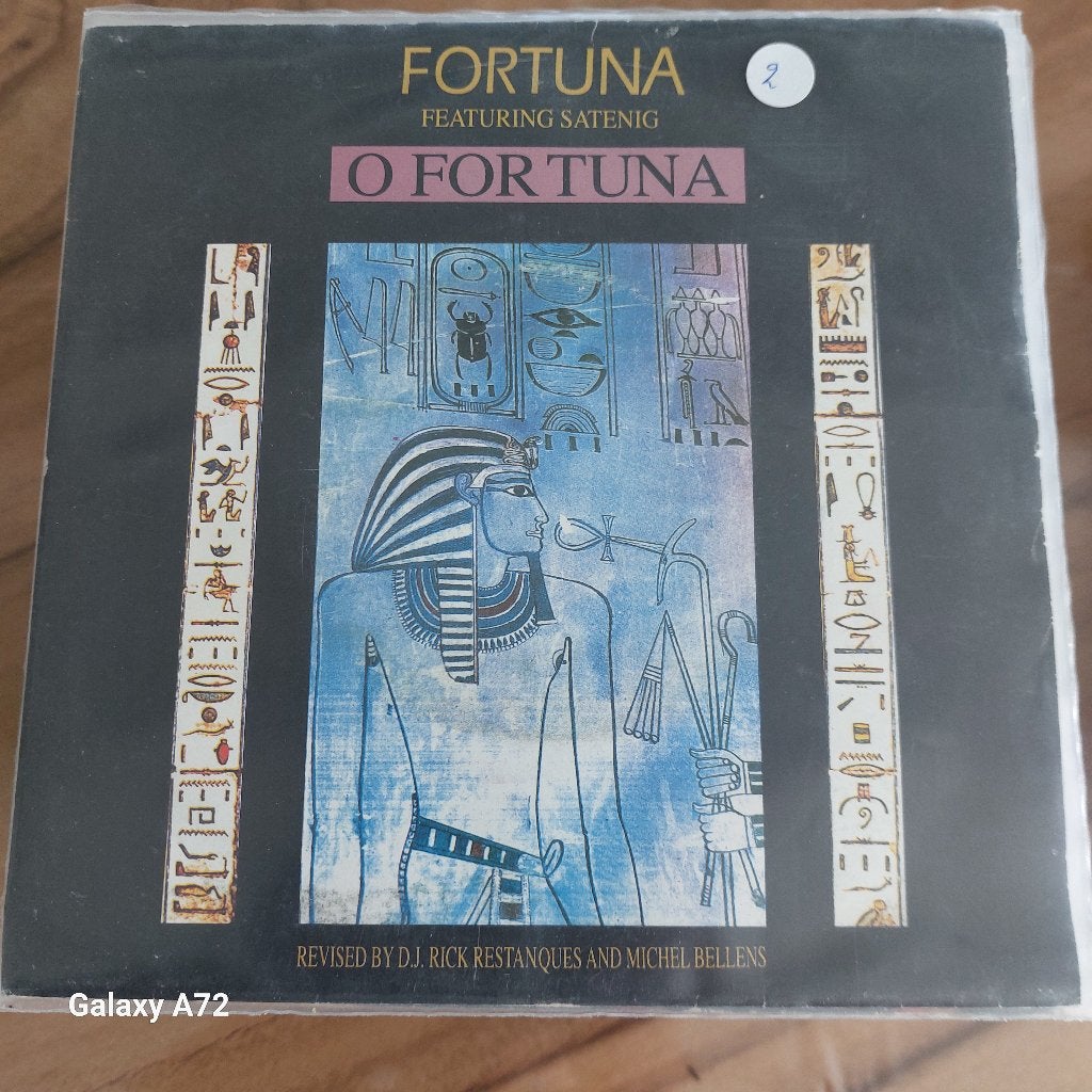 fortuna o fortuna, Gebruikt, 7 inch, Ophalen of Verzenden, Pop