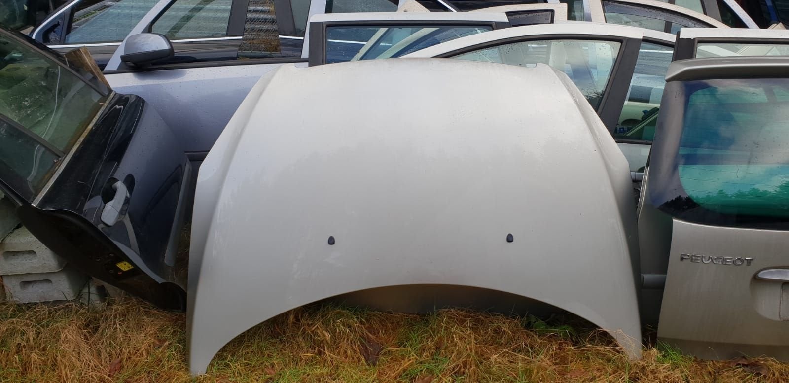 PEUGEOT 307 MOTORKAP BJ 2001 TOT 2005, -, Utilisé, -, Capot moteur