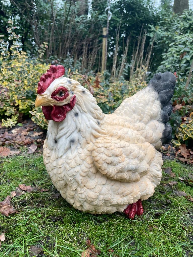 Image poulet, jardin, étang, pelouse, ferme 35cm, Enlèvement, Neuf, Synthétique, Animal
