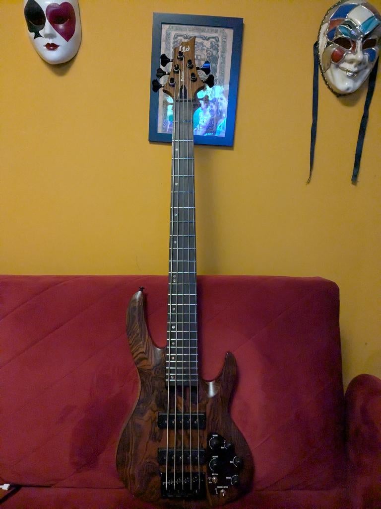 ESP LTD B-1005 NS, Enlèvement, Neuf, Électrique, 5 cordes