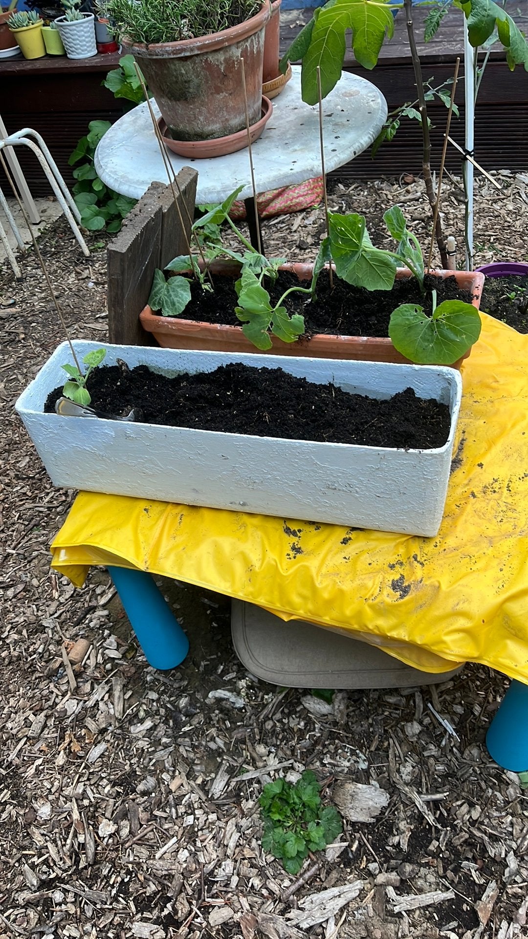 Jardiniere, Jardin & Terrasse, Enlèvement, Utilisé
