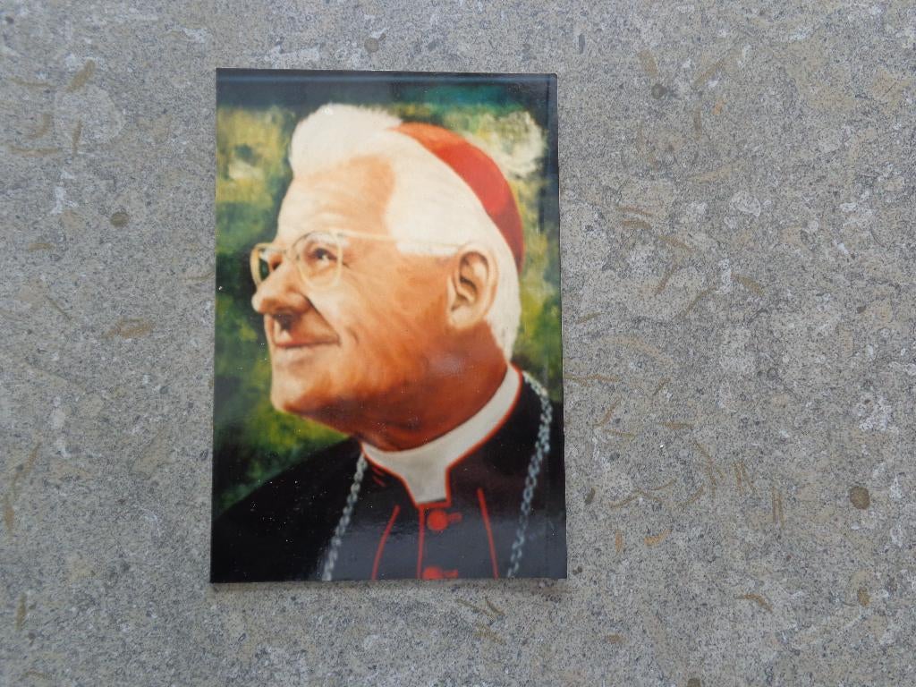 Oude kleurenfoto van kardinaal Cardijn, Verzamelen, Ophalen