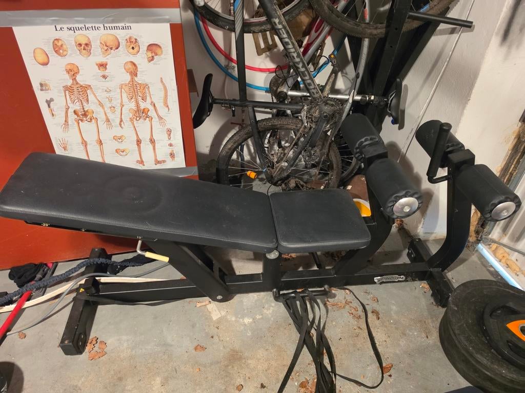 Banc technogym inclinable 15 ,-5 ,-20, Enlèvement