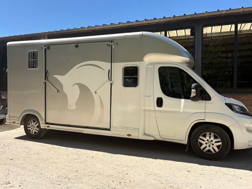 Equitrek dub cab bwj. 2020, 28.500km, Dieren en Toebehoren, Paarden en Pony's | Trailers en Aanhangwagens, Ophalen, Gebruikt