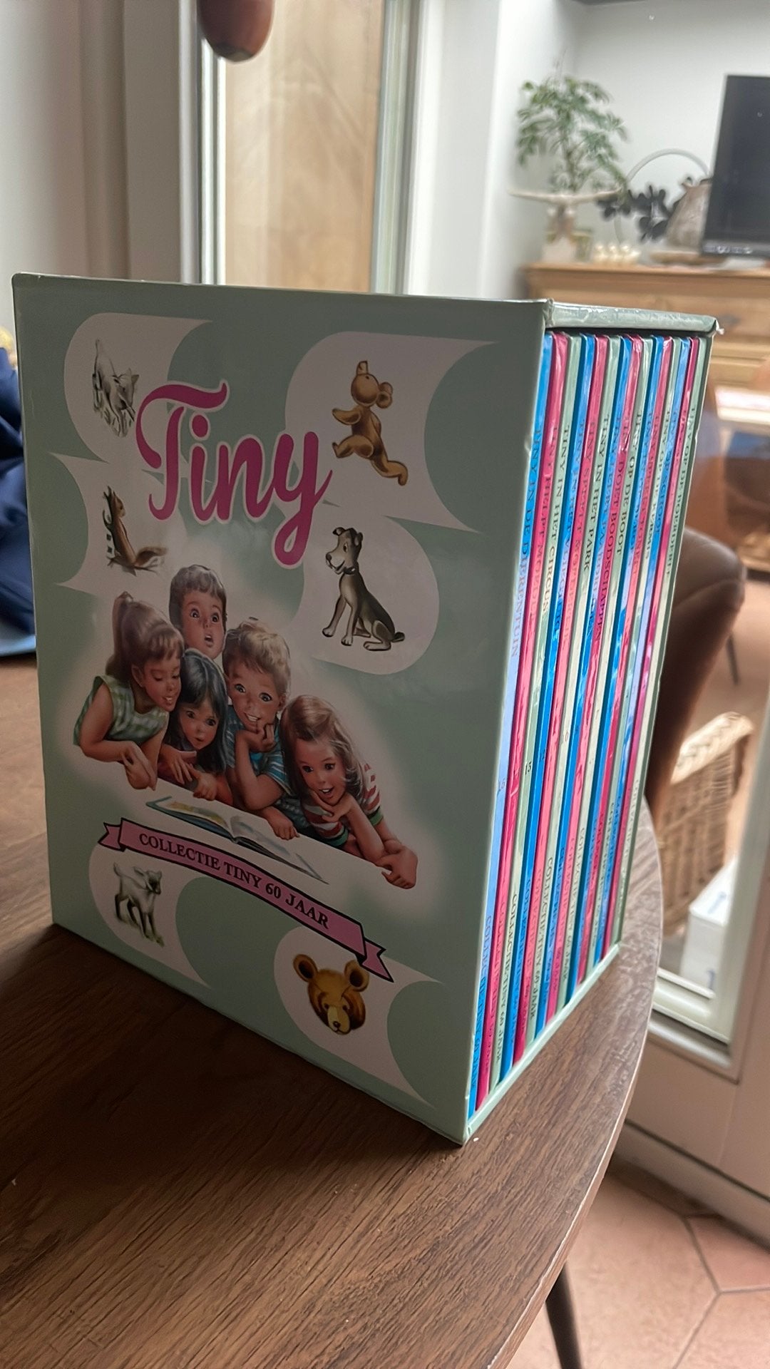 Box met 15 tinyboekjes erin, Boeken, Ophalen of Verzenden, Zo goed als nieuw