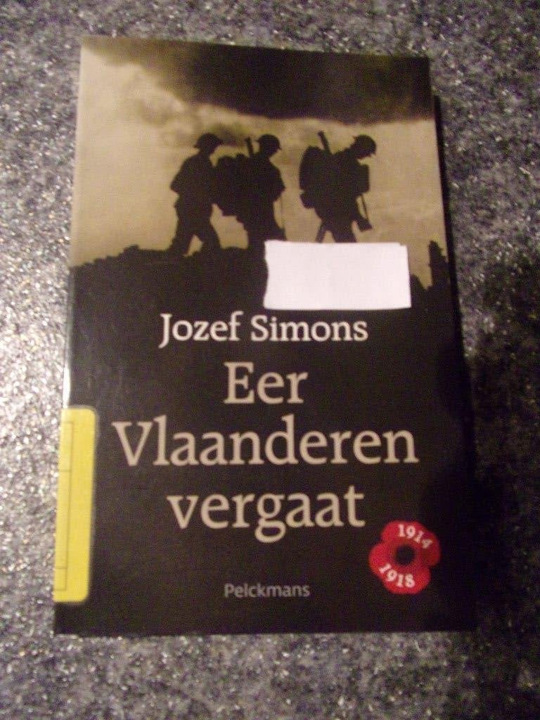 WO 1 : EER VLAANDEREN VERGAAT (verslag van een frontsoldaat), Ophalen of Verzenden, Voor 1940, Zo goed als nieuw