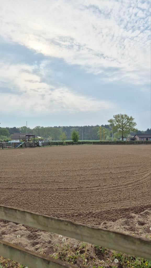 Volpension stal te huur Herselt