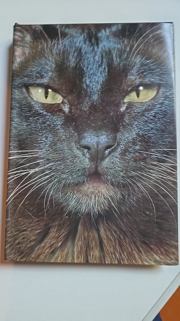 Artis - Historia : De Wondere Wereld Der Katten, Ophalen