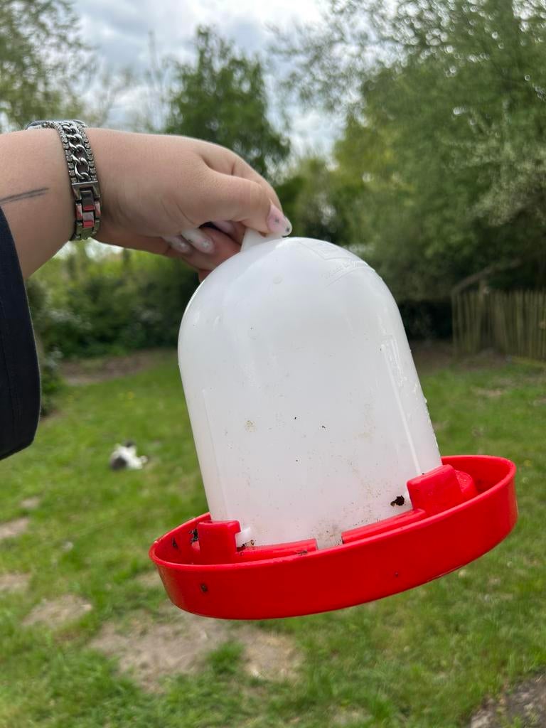 Drinkbak kuikens, Ophalen, Zo goed als nieuw