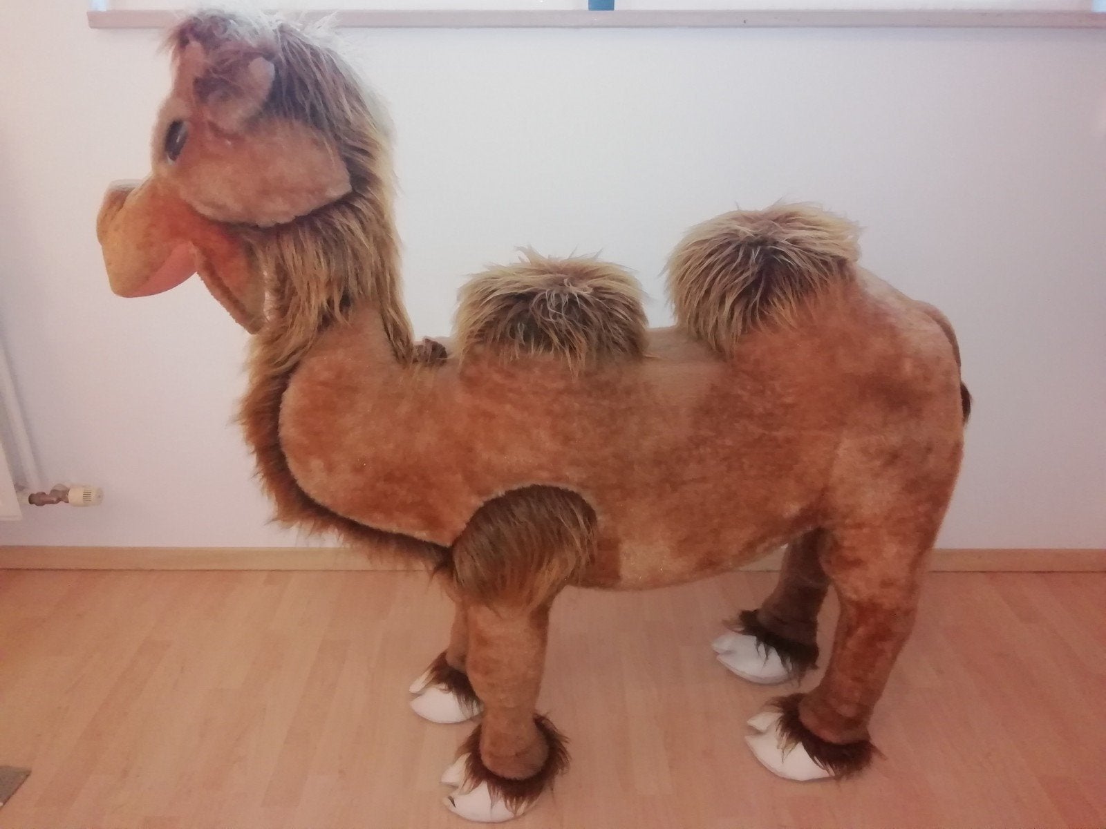 grote pluchen kameel, Enlèvement