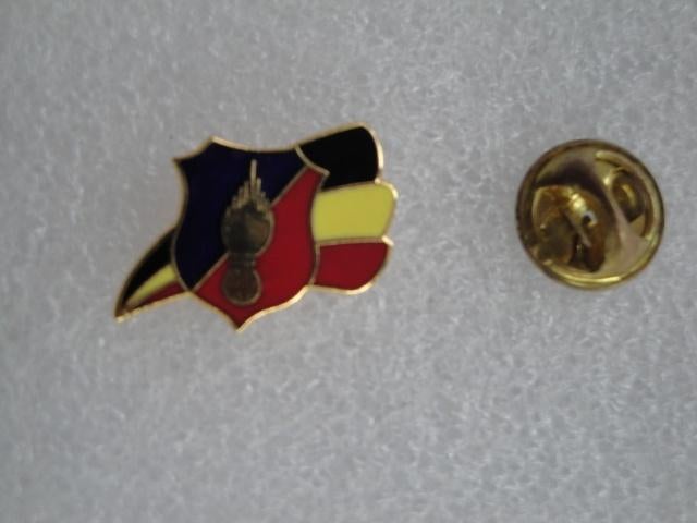 Wapenschild van de Gendarmerie, speld op vlag, Ophalen of Verzenden, Zo goed als nieuw, Speldje of Pin