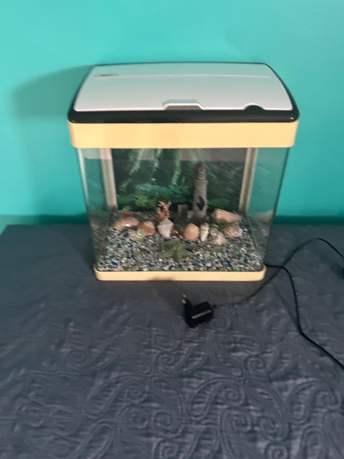 aquarium, Dieren en Toebehoren, Ophalen
