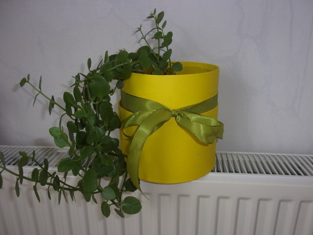 cache-pot en carton jaune, Enlèvement ou Envoi, Moins de 25 cm, Rond, Utilisé