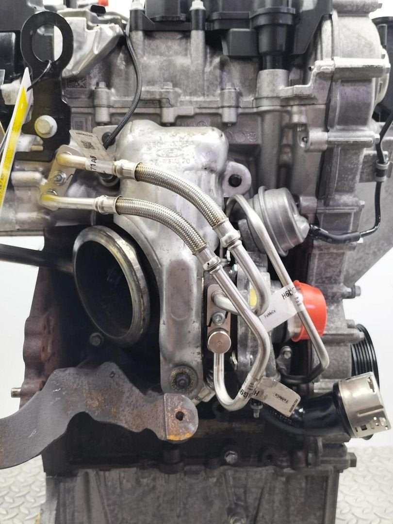 FORD FIESTA ACTIVE TURBO H6BG6K682AD 2020, Ophalen of Verzenden, Gebruikt, Stiba lid