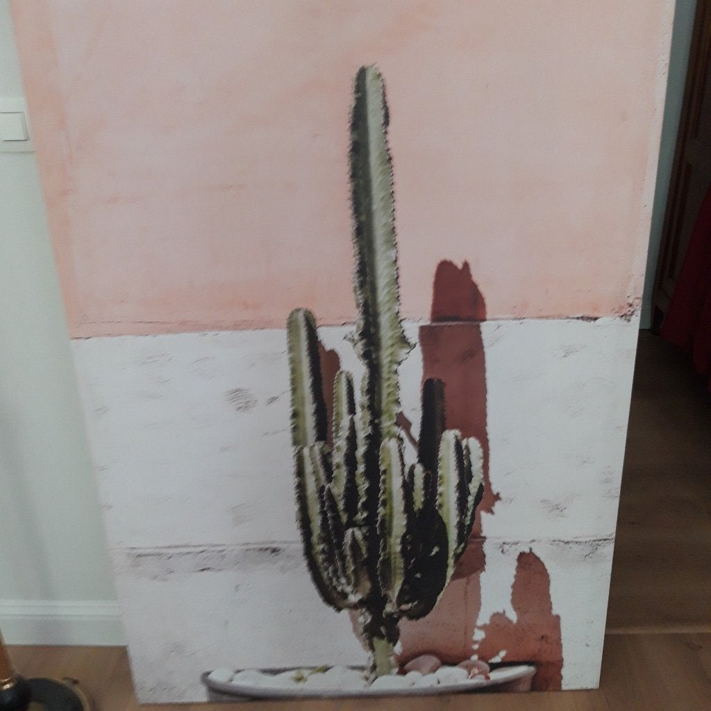 grote canvas, cactus, Huis en Inrichting, Woonaccessoires | Schilderijen, Tekeningen en Foto's, Ophalen, Nieuw, 100 tot 125 cm