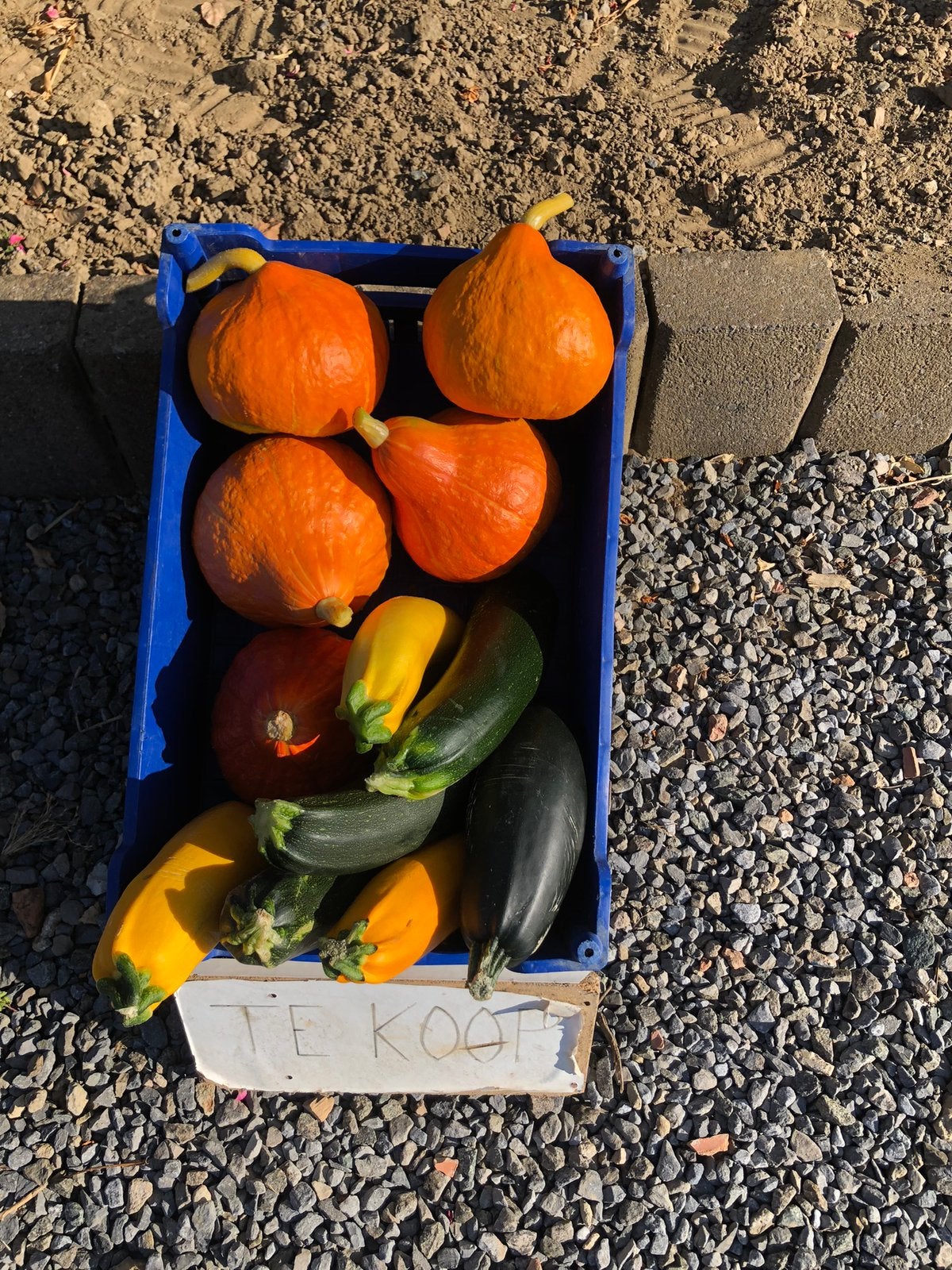 Courgettes, pompoenen en tomaten, Enlèvement