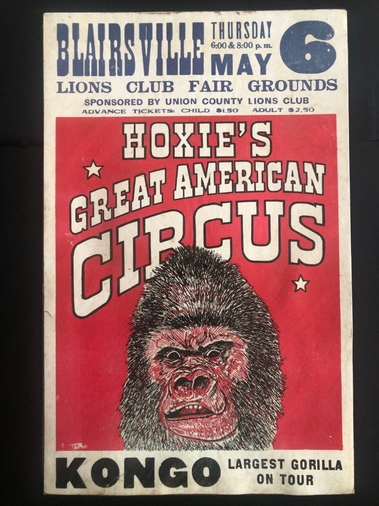 Originele 1972 circus gorilla poster - USA Window Card, Enlèvement ou Envoi, Utilisé