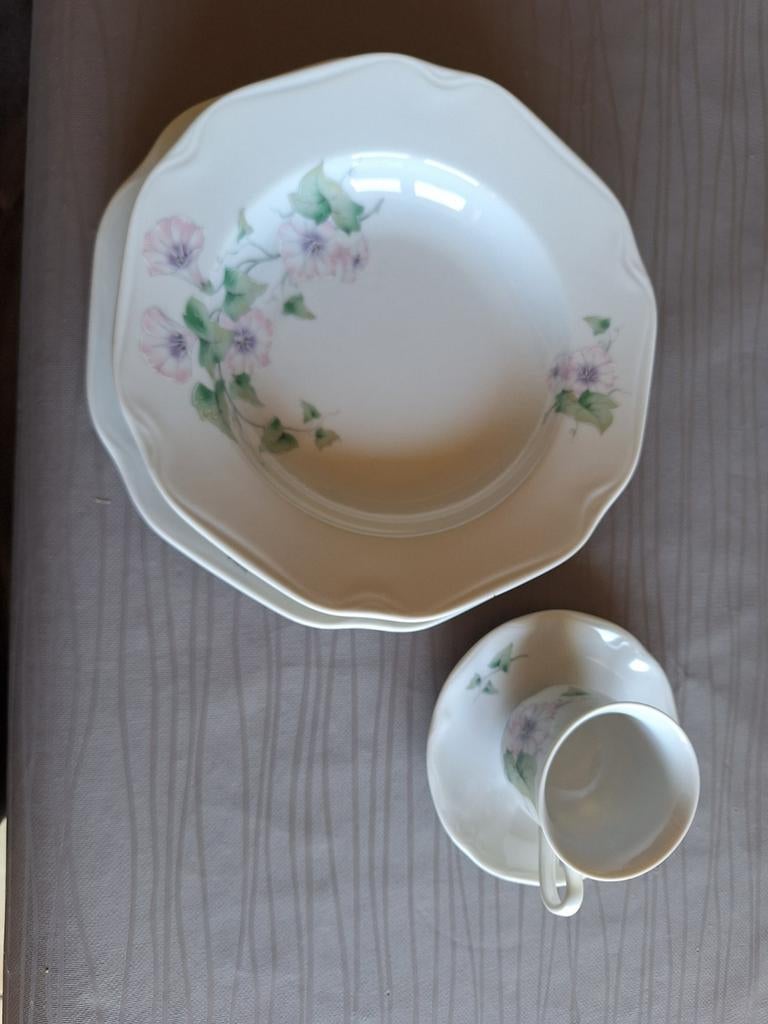 12 delig servies, Ophalen