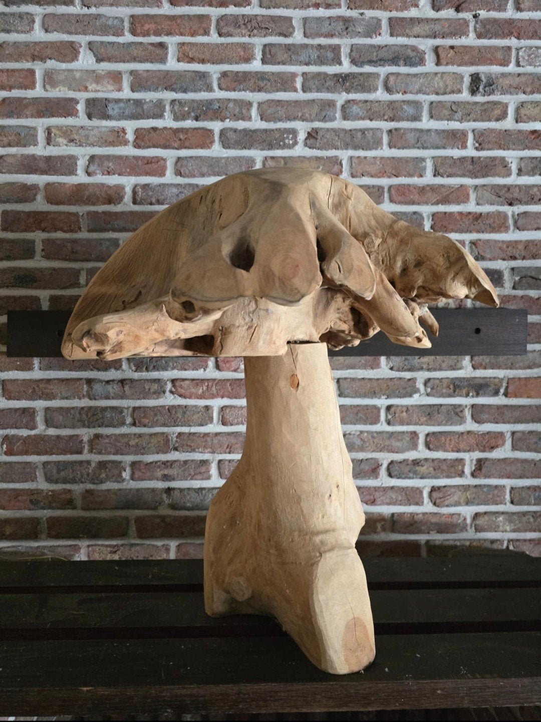 Champignon en teck, Enlèvement