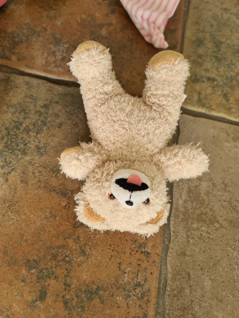 knuffel beer ongeveer 20 cm groot, Kinderen en Baby's, Speelgoed | Knuffels en Pluche, Ophalen, Zo goed als nieuw, Beer
