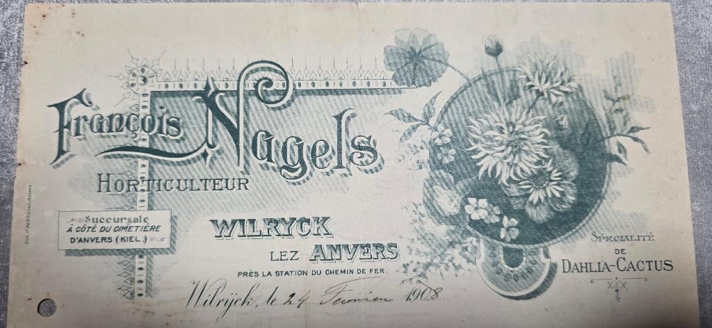 1908+Wilryck+Antwerp+François Nagels+Tuinbouwer, Ophalen of Verzenden, Voor 1920, Ongelopen, Antwerpen