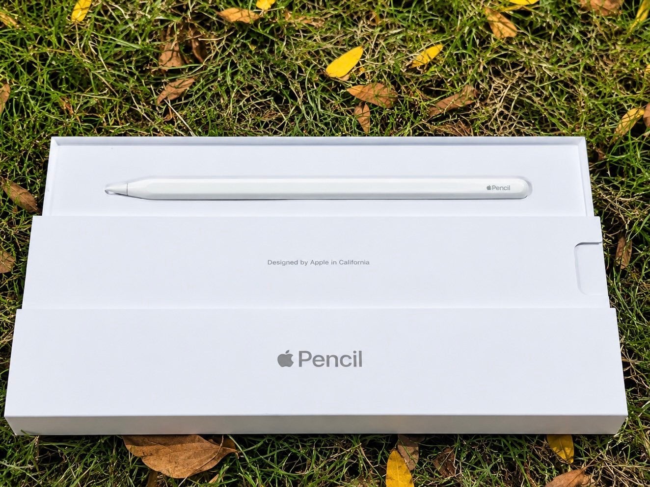 Apple pencil 2, Computers en Software, Ophalen, Zo goed als nieuw