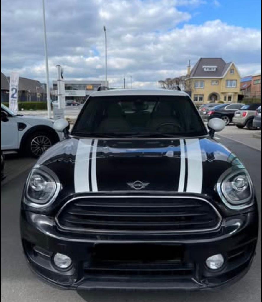 Mini countryman, Services & Professionnels