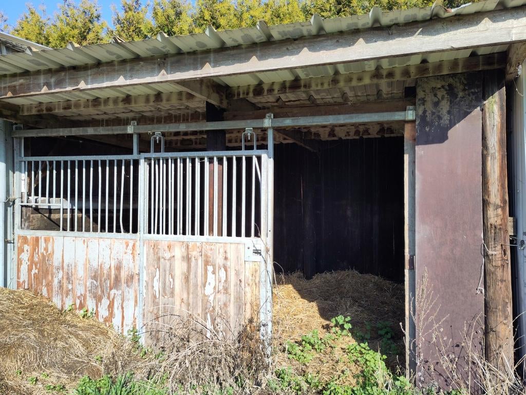 Paardenstallen
